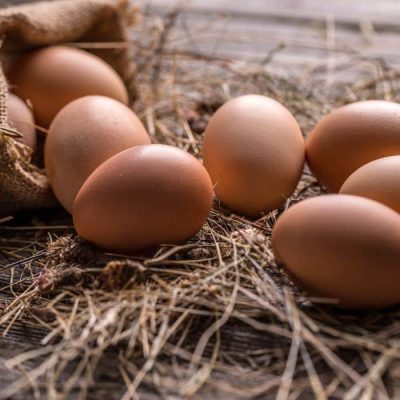 Pendant combien de temps pond une poule ?